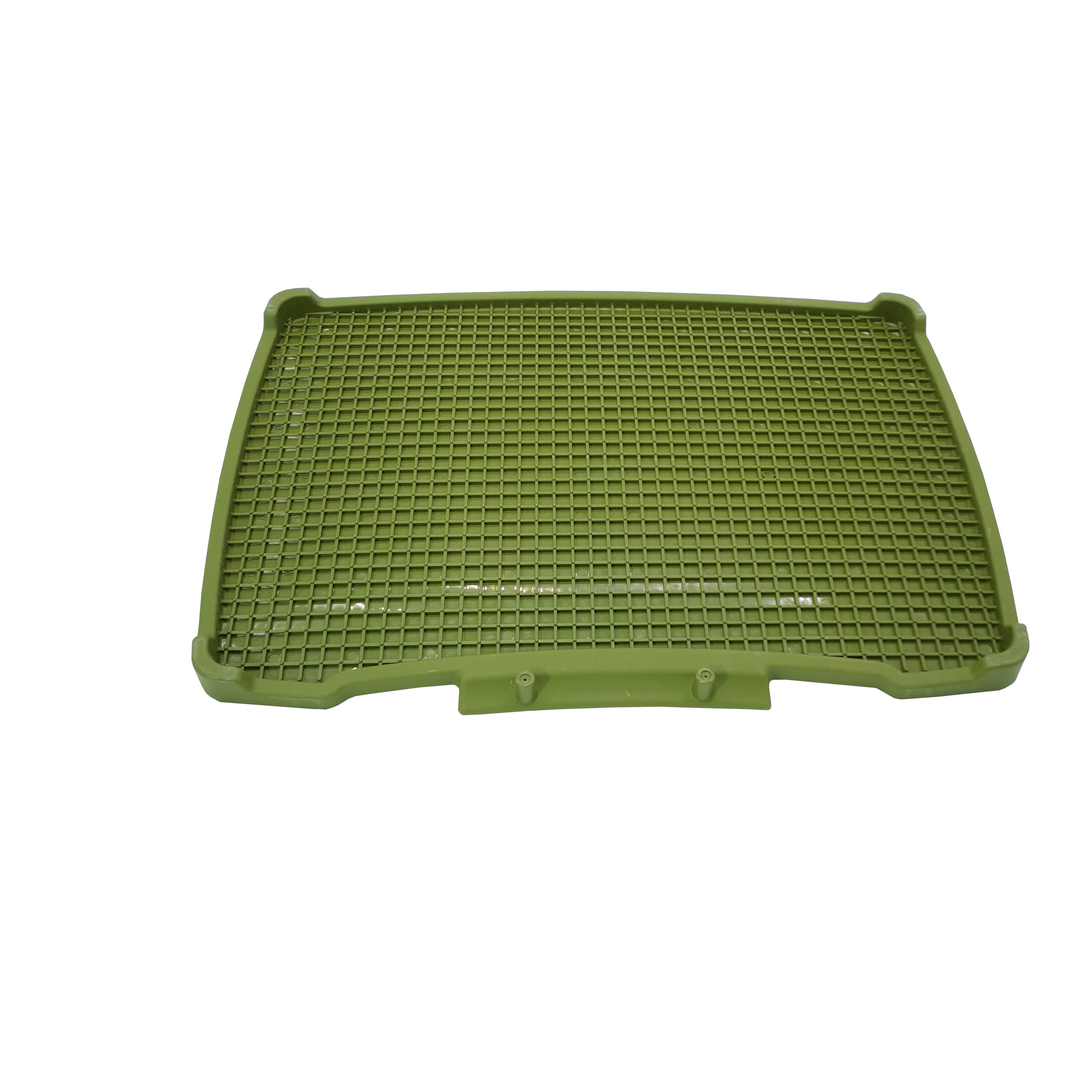 Polimod Yeşil Kedi Tuvaleti Paspası Mix